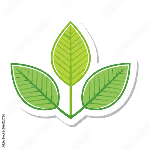 Three Green Leaves Flat Vector Icon