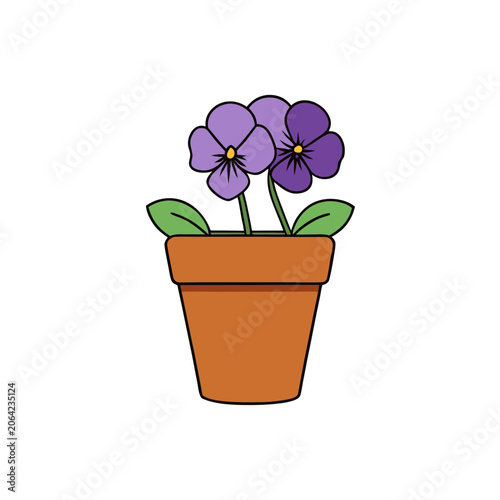 Purple African Violet Blooming in Terracotta Pot Indoor Plant Decor