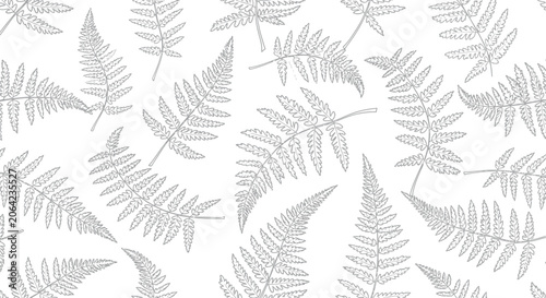 Fern leaf pattern botanical illustration on white background