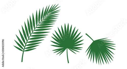 Green leaves silhouettes set against white background for various designs