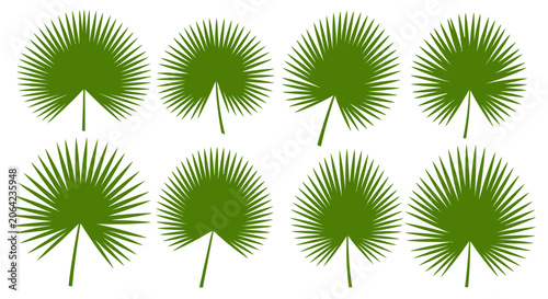 Green palm frond silhouettes vector illustration on white background