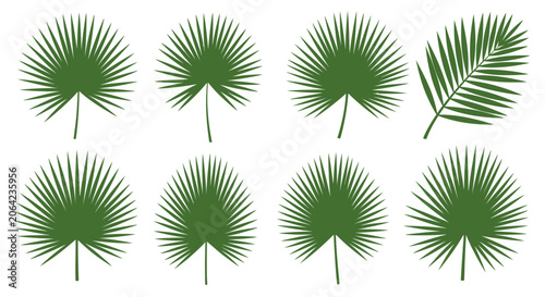 Green palm frond vector illustrations isolated on white background