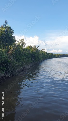 green natural scenery of trees and leaves in Indonesia