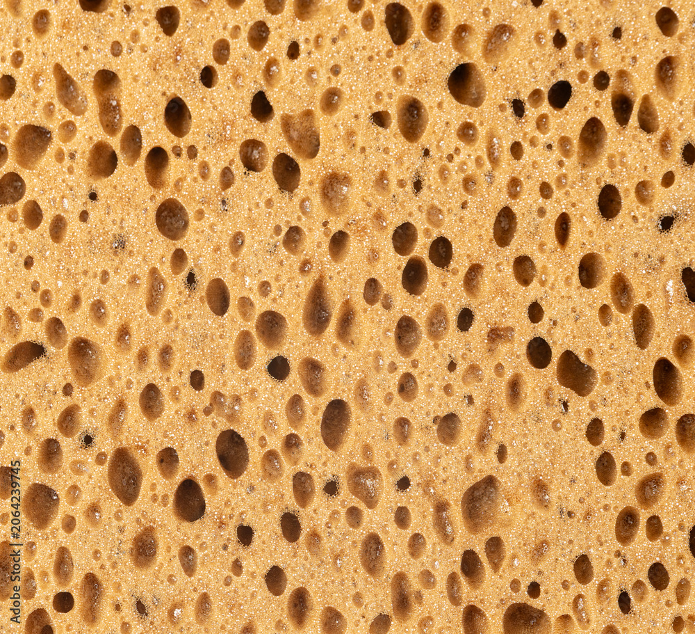 Obraz premium Porous sponge texture showing absorbent surface structure