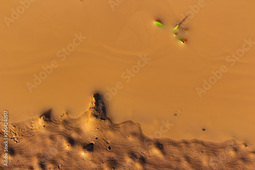 Fotografie Small green sprout emerging from murky brown quarry puddle creating an organic n