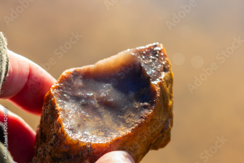 Quadro em tela Hand holding a raw pink chalcedony concretion with a polished fracture edge, glo
