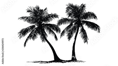 Palm vector silhouette tree duo botanical nature tropical