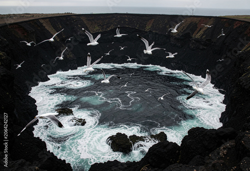 volcanic lake with seagulls