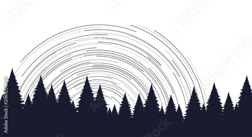 Foto Silhouette of Pine Trees at Night.
