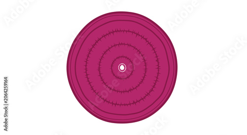 Stylized cross-section of a red beet vegetable illustration