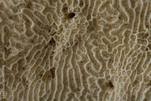Abstract macro view of a te...