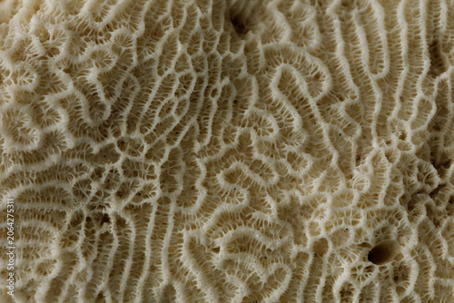 Abstract intricate patterns...