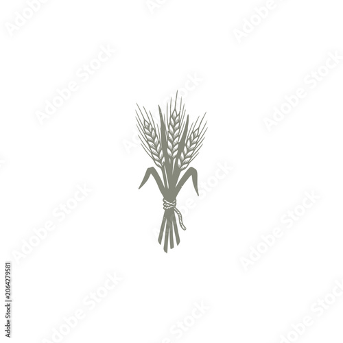 Vintage Engraved Sketch Of A Tied Sheaf Of Rye Stalks With Detailed Grain Heads And Rustic Harvest Binding Vector Illustration