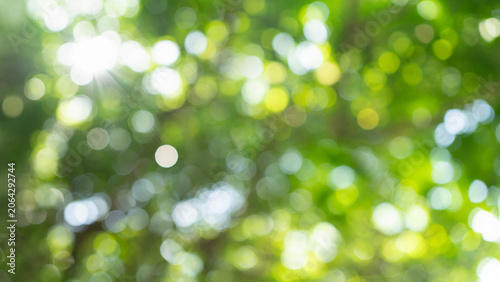 Green bokeh background with abstract blur nature leaf and bright sunrays flare effect.