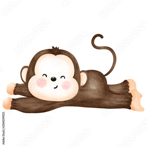 Baby boy monkey 
