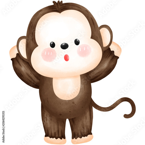 Baby boy monkey 
