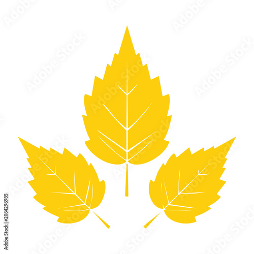 Yellow maple leaf vector icon