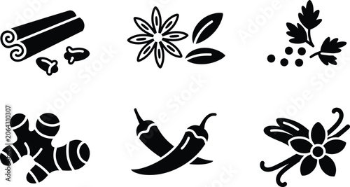Fotografie Icons of spices and herbs including cinnamon cloves star anise ginger chilies an