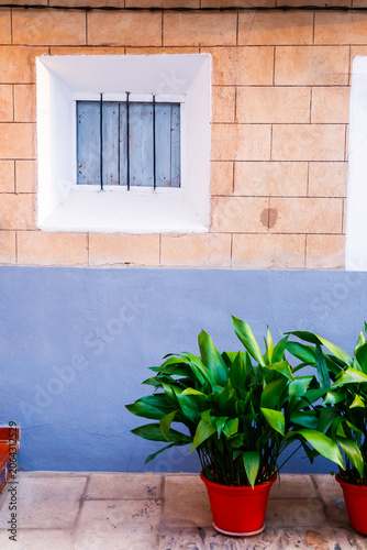 Close-Up of Window and Potted Plants in Guadalupe