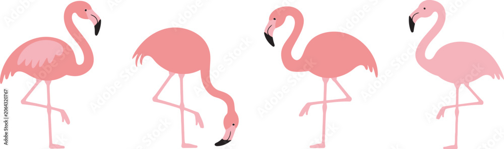 Fototapeta premium Set of pink flamingo cartoon birds in different poses, colorful vector collection of adorable tropical birds with expressive personalities, including dancing, sitting,