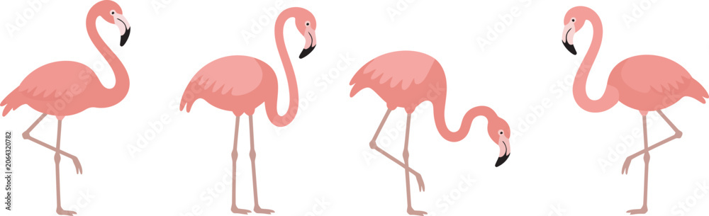 Obraz premium Set of pink flamingo cartoon birds in different poses, cute vector illustration collection featuring standing, walking, resting, and playful flamingos, tropical wildlife characters perfect
