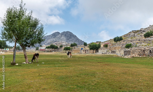 Fotografía Authentic stone huts and free-range chickens in a traditional Turkish highland p