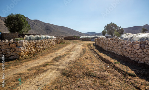 Obraz na płótnie Rural nomadic lifestyle in Gunnercik Plateau, Gazipasa