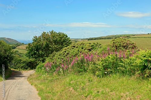 Country road on the fringe of Exmoor National Park north Devon England