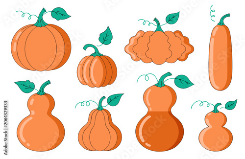 set of vegetables vector