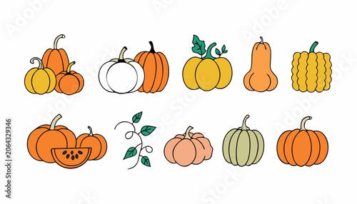 set of pumpkins isolated on white