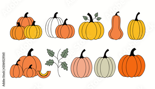 collection of pumpkins