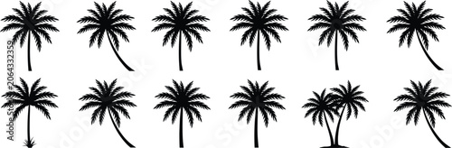 Tropical palm tree vector icon set, black silhouette elements for summer beach holiday design illustration.