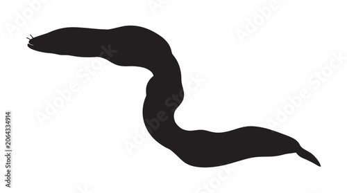 Foto Eel Silhouette Against White Background A Dark Marine Creature Silhouette