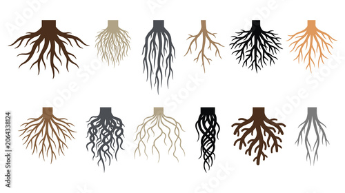 Tableau sur toile Set of various tree root system silhouettes on white.