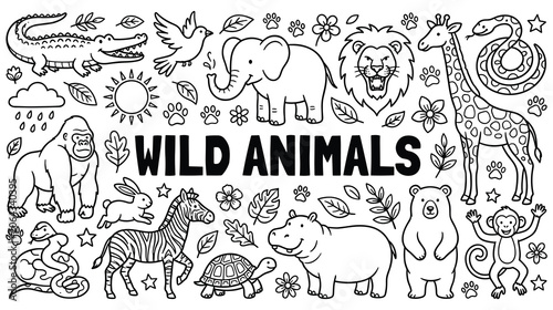 Photography Collection of different outline wild animals for coloring.
