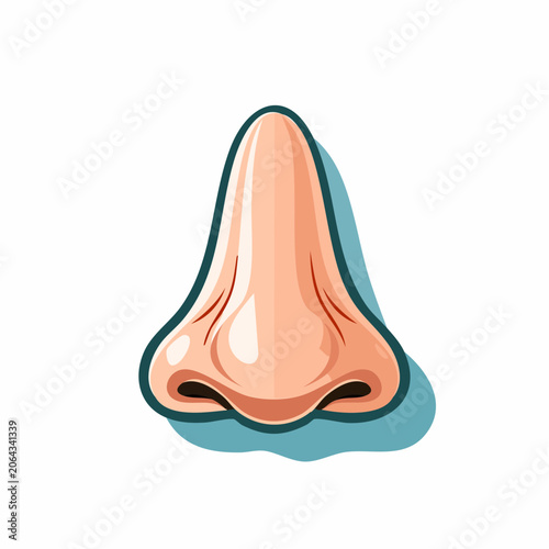 Stylized illustration of a human nose