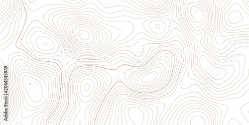 Stylized topographic contour map with space for text. Abstract lines and wavy background.paper texture Imitation of a geographical map shades.Vector illustration.