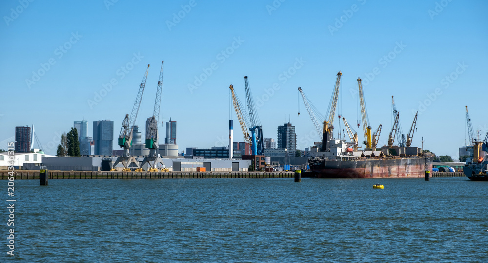 Fototapeta premium Port of Rotterdam, Netherlands. Cargo ships and cranes loading, Logistics business