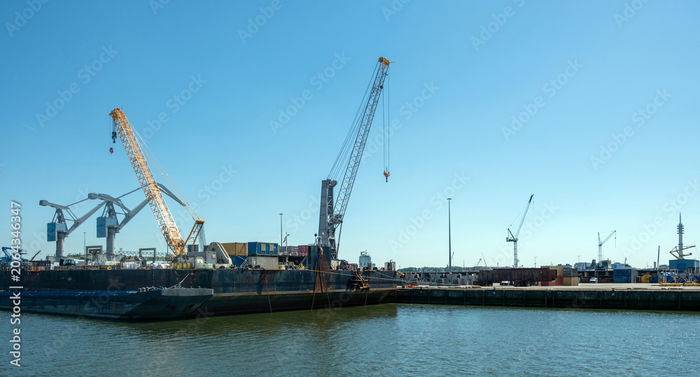 Obraz premium Port of Rotterdam, Netherlands. Cargo ships and cranes loading, Logistics business