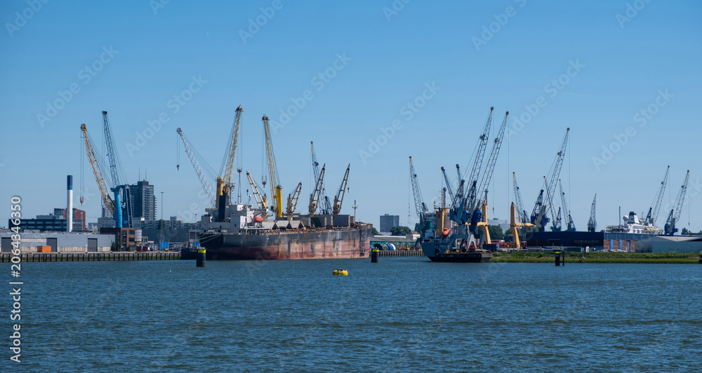 Fototapeta premium Port of Rotterdam, Netherlands. Cargo ships and cranes loading, Logistics business