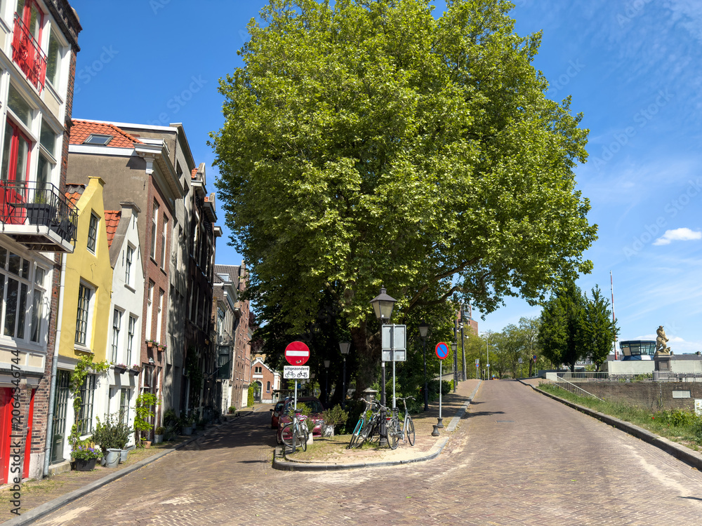 Fototapeta premium Historic Delfshaven street with leafy tree and bicycles in sunny Rotterdam Netherlands