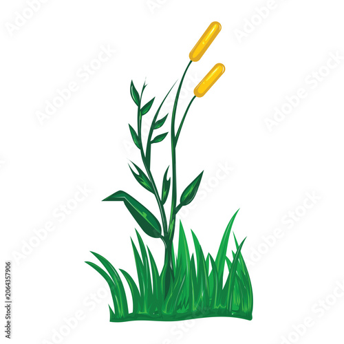 Simple weeds grass vector art. Tall grass vector illustration.