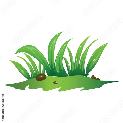 Vector illustration of a green leaf. Cute and simple green grass illustration isolated on white background.