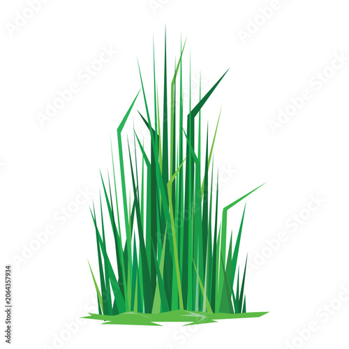 Tall green grass vector illustration. Tall grass stock illustration isolated on white background