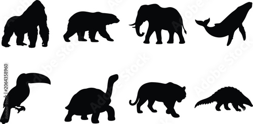 Photography Wild Animal Silhouette Collection Featuring Mammals Birds Marine Life and Reptil