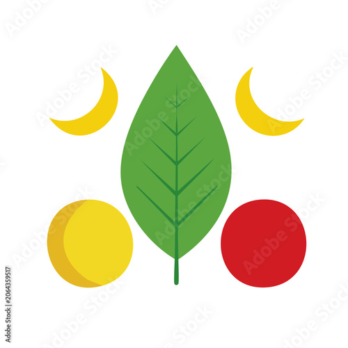 Flat design maple leaf vector illustration