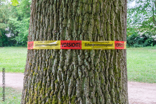 Eichenprozessionsspinner Warnhinweis am Stamm einer Stieleiche Quercus robur in iner öffentlichen Parkanlage