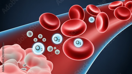 Lymphocytes, immune cells, white blood cells. Adaptive immune system, showcasing T-cells, B-cells, NK cells. Human lymphocytes combating infections. Medical 3D blood structure scientific illustration