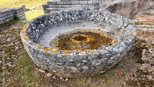 Ancient Stone Basin with Lichen in Historic Ruins