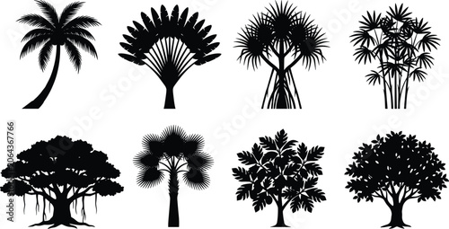 Tableau sur toile Tropical and Exotic Tree Silhouette Collection for Landscape and Nature Design